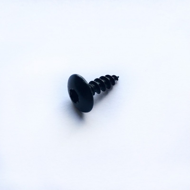 Vis penture 20 mm | La Fabrique des Pieds