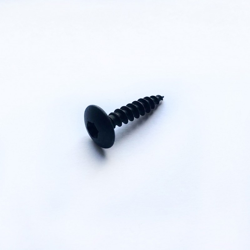 Vis penture 30mm | La Fabrique des Pieds