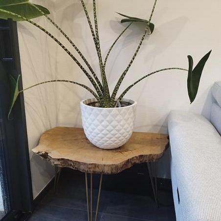 Petit table d'appoint pour un salon