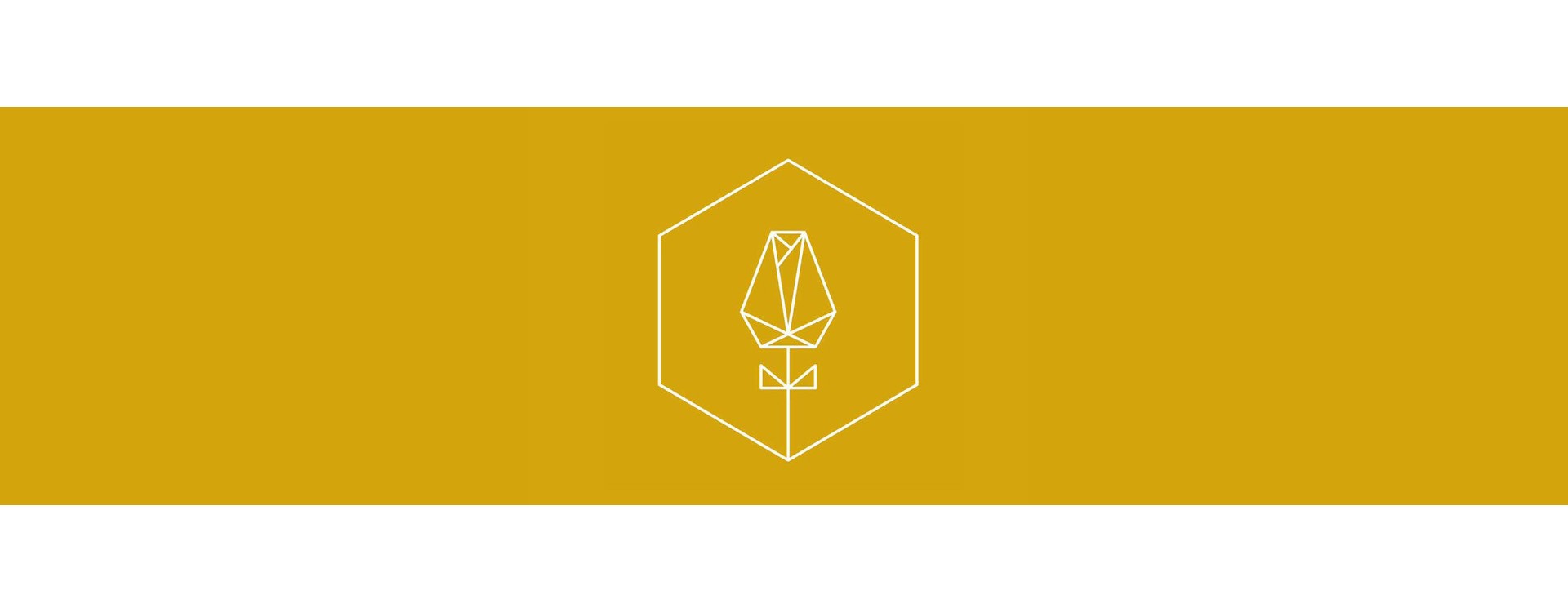 La boutique de Joachim oĂą les fleurs deviennent un art La boutique de Joachim oĂą les fleurs deviennent un art